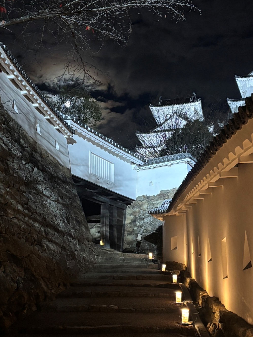 夜の道中（将軍坂）