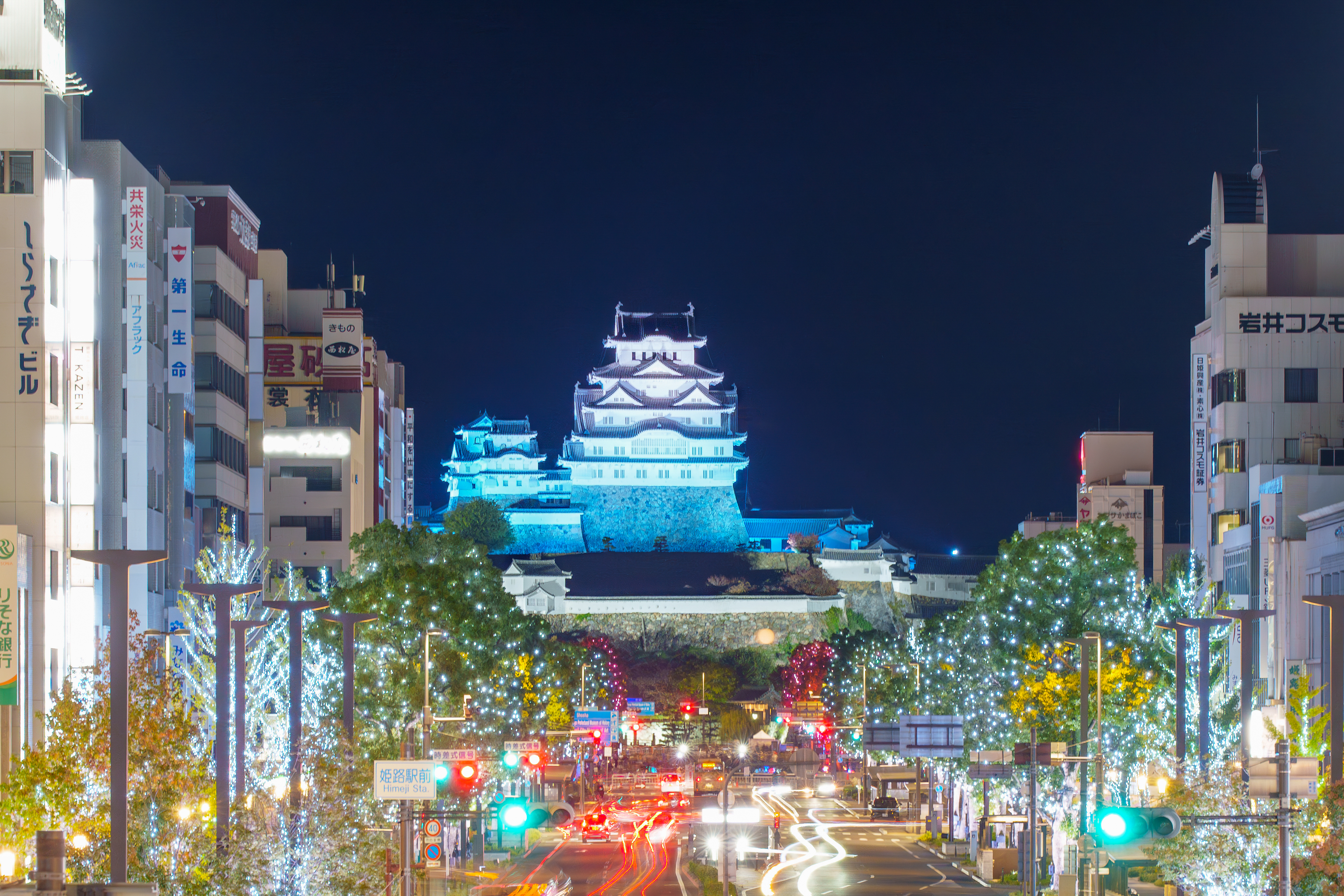 昨年度開催の様子
